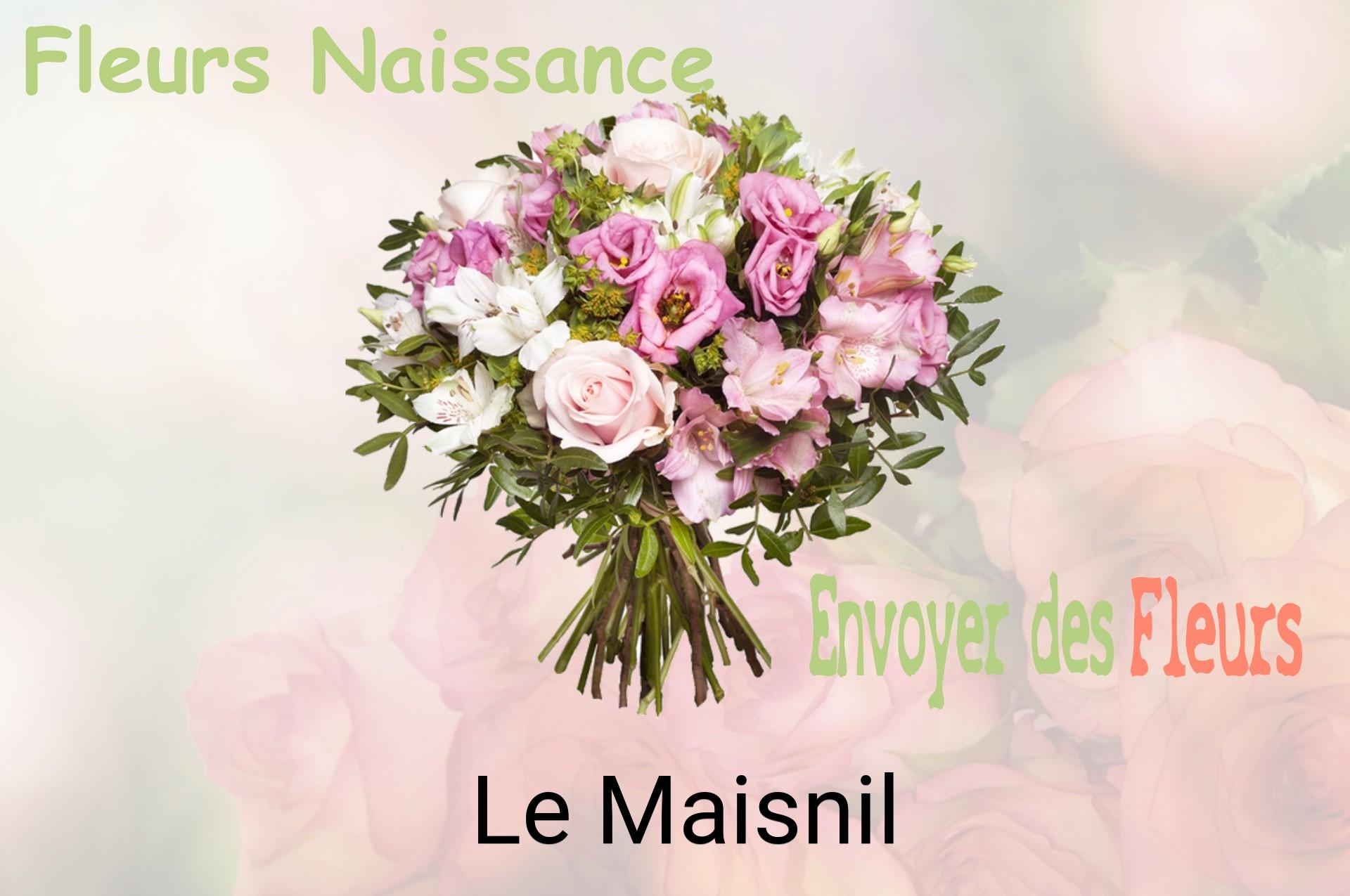 Bouquet de fleurs de naissance livré à Le Maisnil